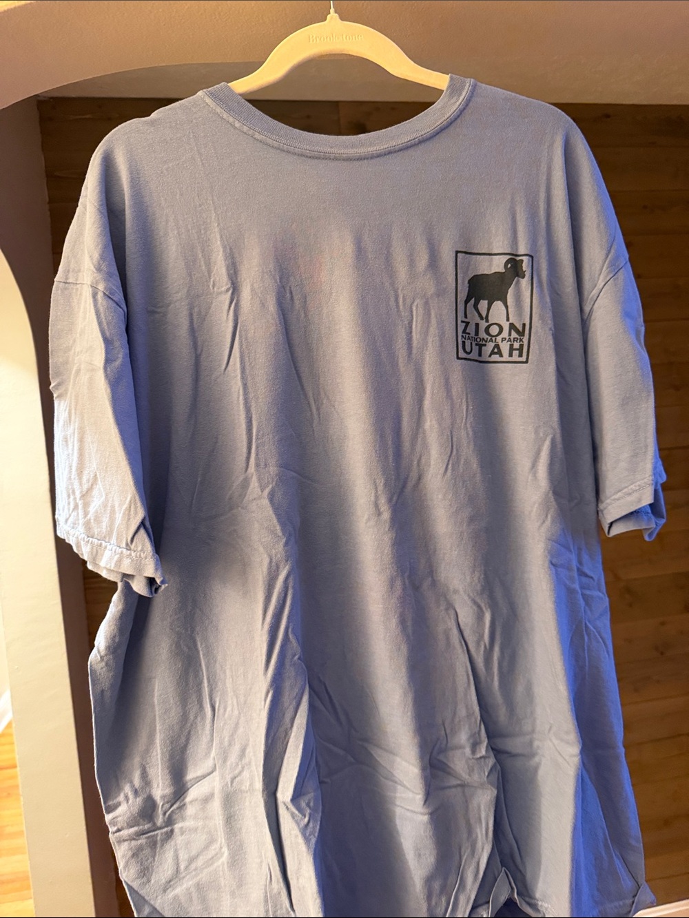 Comfort Colors Light Blue Zion Utah Graphic Short Sleeve Tee